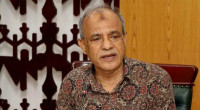 Still working to recover all illegal weapons: Home adviser